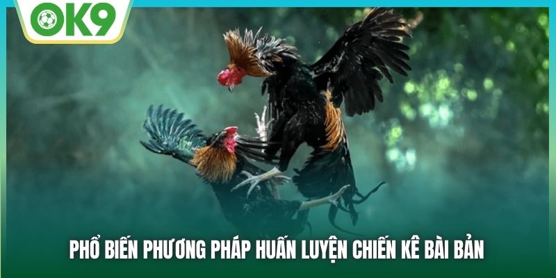 Phổ biến phương pháp huấn luyện chiến kê bài bản